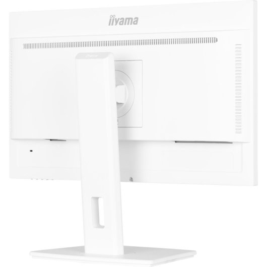 Écran IPS iiyama 24 pouces 1080p 100 Hz avec hauteur réglable, hub USB, blanc et haut-parleurs