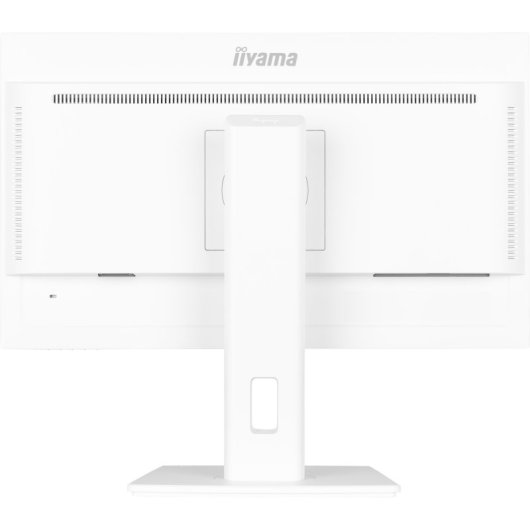 Écran IPS iiyama 24 pouces 1080p 100 Hz avec hauteur réglable, hub USB, blanc et haut-parleurs