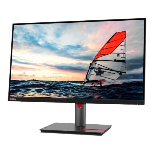 Monitor Lenovo 24.5? 1080p 100Hz IPS Ajuste Ergonómico USB DisplayPort HDMI Low Blue Light