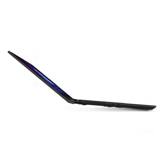 MSI Katana A17 AI B8VF-875XES 17.3" AMD Ryzen 7 8845HS 32GB 1TB SSD RTX 4060 RGB
