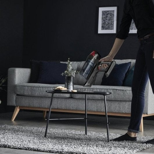 Aspiradora sin cable Rowenta X-Force Flex 12.60 RH98A7WO 320W Autonomía 45min Animal Care