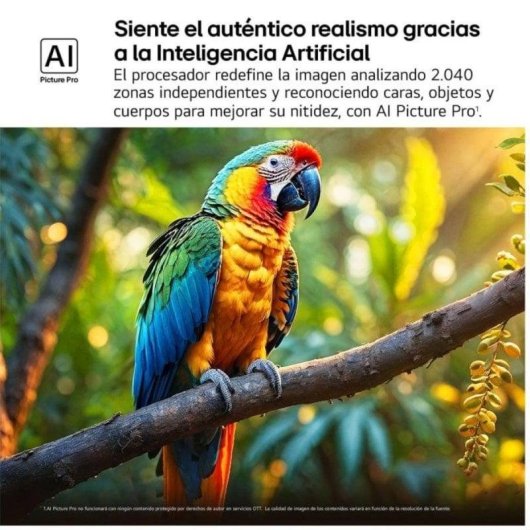 TV LG QNED MiniLED 65QNED92A6A 65" 4K UltraHD 120Hz Smart TV WebOS HDR10 Dolby Vision