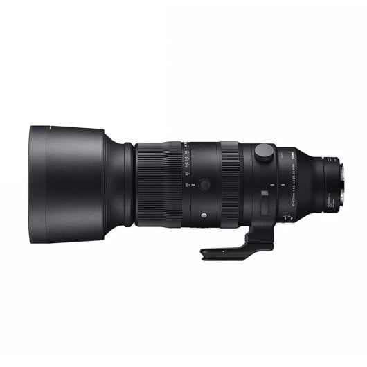 Sigma 60–600 mm F4,5–6,3 DG DN OS Sony E Ultra Telezoom 27/19 105 mm Objektiv