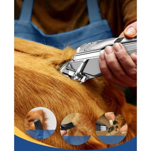 Oneisall Kit Cortapelos Perros y Mascotas 2 en 1 Inalámbrico IPX7 8 Peines Cuchillas Profesionales