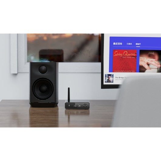 Receptor inalámbrico FiiO BR13 Negro 135g compatible FiiO 98x96x26,5mm