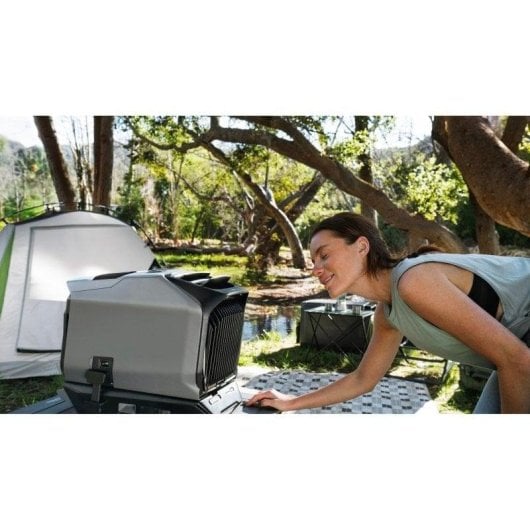Climatiseur Mobile EcoFlow Wave 3 2,0 kW Réversible Connecté R290