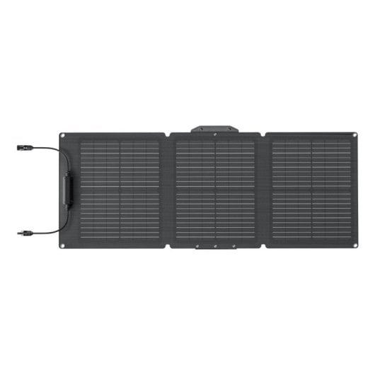 Panel solar EcoFlow EFSOLAR60-TYPE-C 60W Silicio monocristalino IP68 USB-C 2kg plegable