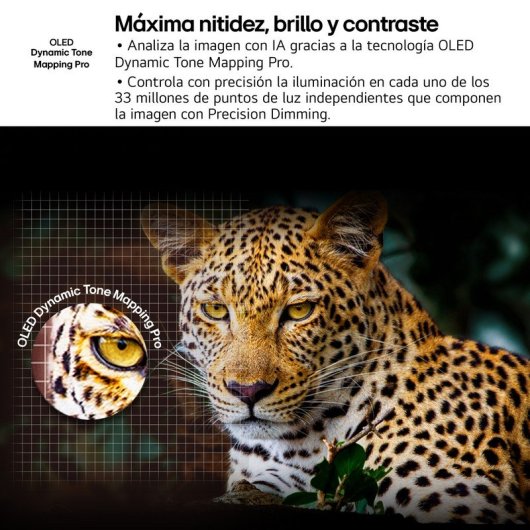 Téléviseur LG OLED evo 65″ 4K Ultra HD Smart TV WebOS Dolby Vision Gaming 120 Hz eARC AirPlay