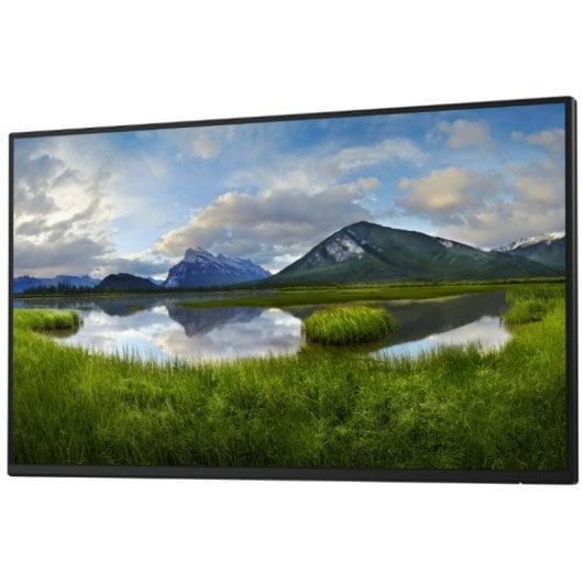 Dell P Series P2425H_WOST 24" 1920x1080 100Hz IPS USB-C ComfortView Flicker Free