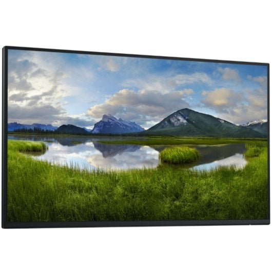 Dell P Series P2425H_WOST 24" 1920x1080 100Hz IPS USB-C ComfortView Flicker Free