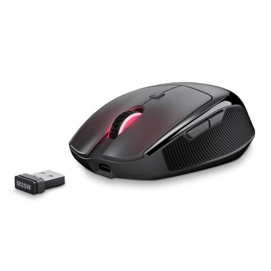 Maus Sharkoon OfficePal M25W 4000 DPI Wireless USB-C RGB 6 Tasten Ergonomisch Schwarz