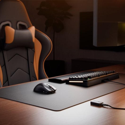 Souris Glorious Gaming Série 2 PRO sans fil USB Type-C 26000 DPI Noir