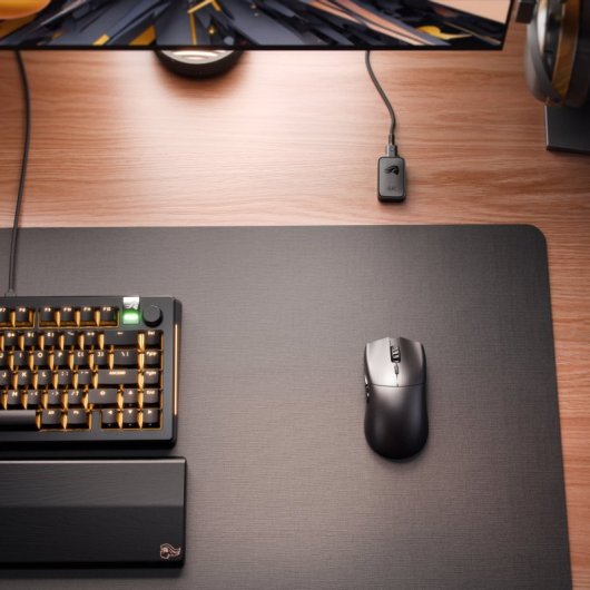 Souris Glorious Gaming Série 2 PRO sans fil USB Type-C 26000 DPI Noir