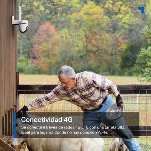 Tapo TC40GW Cámara de Vigilancia 4G 360º, 1080p, Detección IA Gratuita, Visión Nocturna a Color