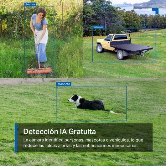 Tapo TC40GW Cámara de Vigilancia 4G 360º, 1080p, Detección IA Gratuita, Visión Nocturna a Color