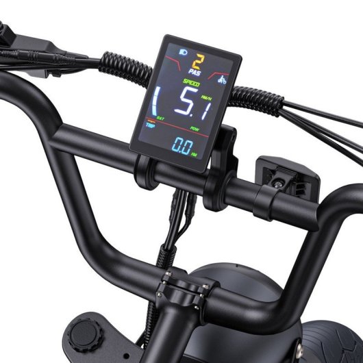 Bicicleta elétrica ENGWE M1 48V 250W Motor 20x4.0 Pneus Travões de disco hidráulicos