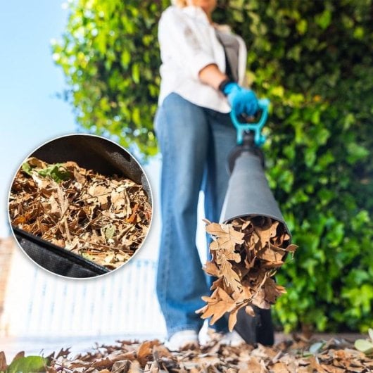 Aspirateur souffleur Cecotec AirForce 3300 Crush&Go 3300W 3en1 tube XL sac 40L