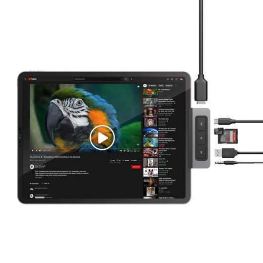 Alimentatore HYPER HD449 Grigio MicroSD SD 60 Hz USB Tipo C 60 W