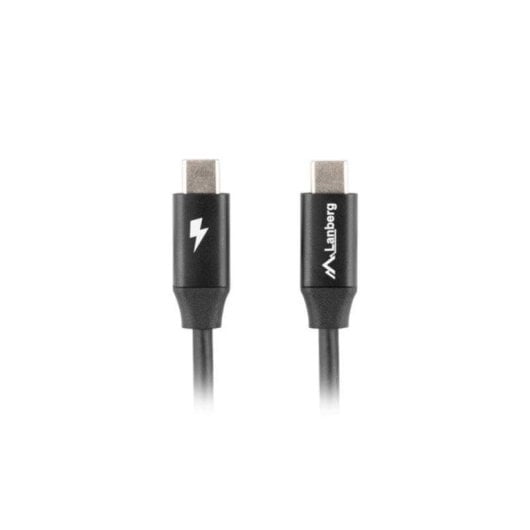 Câble USB Lanberg CA-CMCM-40CU-0010-BK 1m USB C Double Or