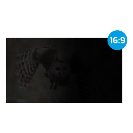 Filtre de confidentialité NATEC NFP-2288 43,9 cm (17.3") Antirefletant