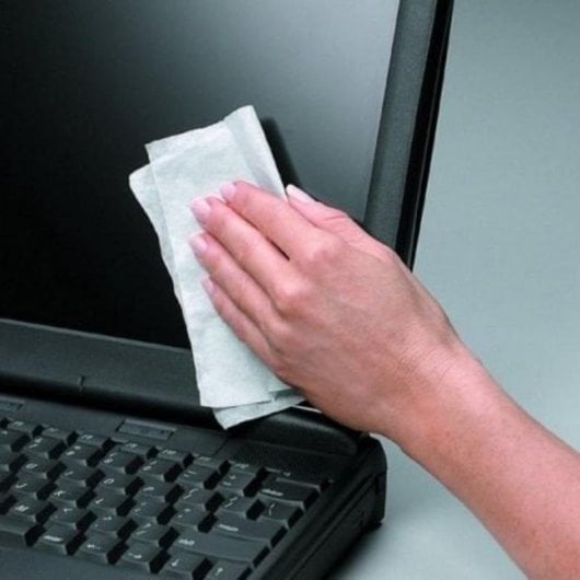 Toallita Fellowes 9183101 Nettoyage Écrans 100 Unités Biodégradables Pack de 6