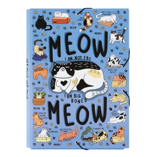 Carpeta Solapas Meow Meow Weird Cats