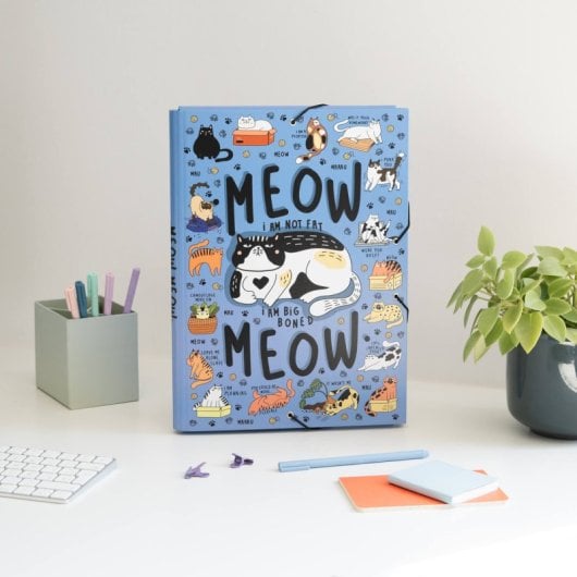 Carpeta Solapas Meow Meow Weird Cats