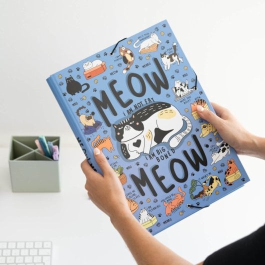 Carpeta Solapas Meow Meow Weird Cats