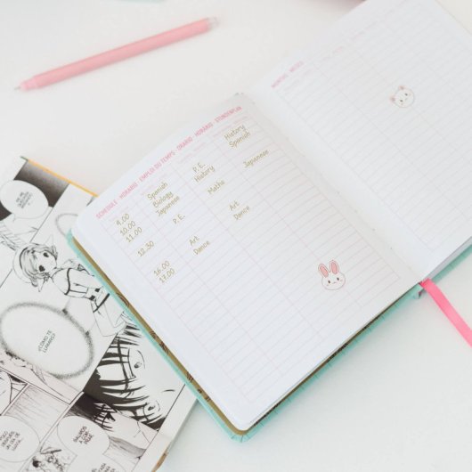 Agenda Escolar 2025/2026 Dia Pagina M Con Lomo 11 Meses Kawaii