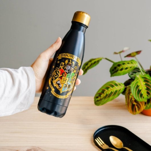 Bouteille en métal chaud et froid 500 ml Harry Potter Poudlard