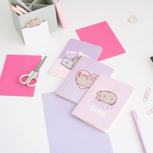 Pack 3 Cuadernos A6 Pusheen Moments