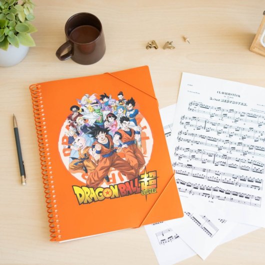 Dragon Ball A4-Hüllenordner