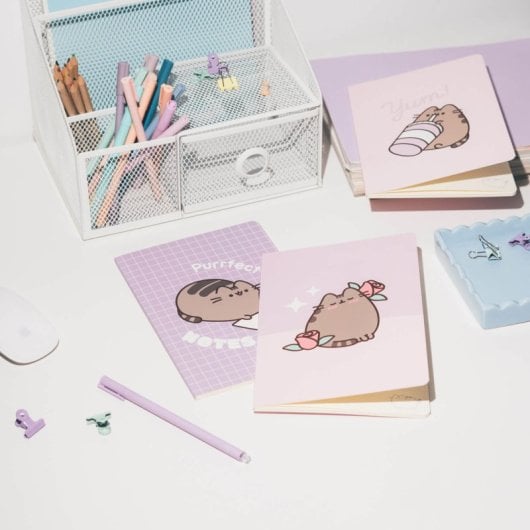 Pack 3 Cuadernos A5 Pusheen Moments