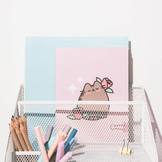 Pack 3 Cuadernos A5 Pusheen Moments