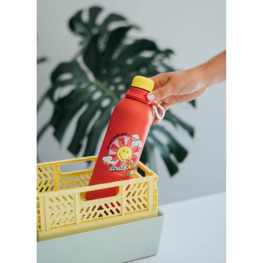 Botella Metalica Hot&cold 500ml Smiley Quirky Comics