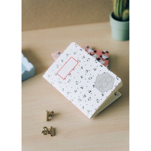 Packung mit A6-Notizbüchern zum 100. Jubiläum von Mickey Disney