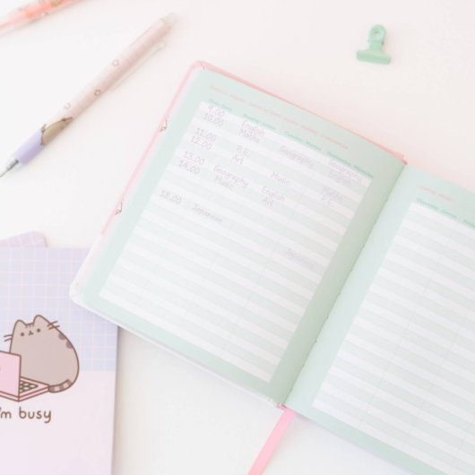 Agenda Escolar 2025/2026 Dia Pagina M Con Lomo 11 Meses Pusheen