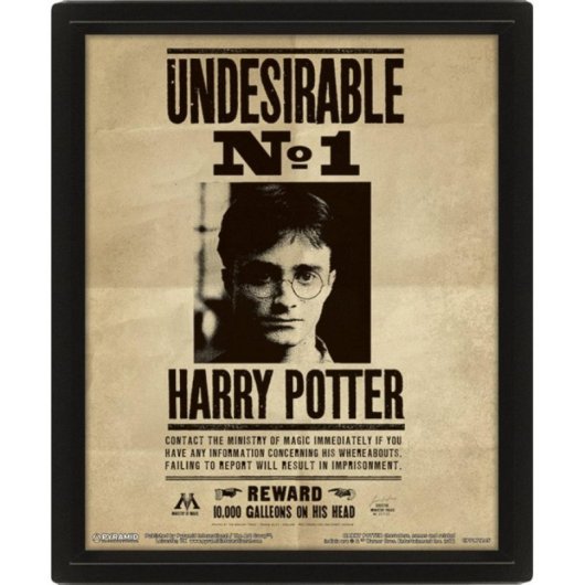 Póster lenticular Pyramid EPPL71245 Harry Potter 3D Enmarcado 23,5x28,5cm Oficial