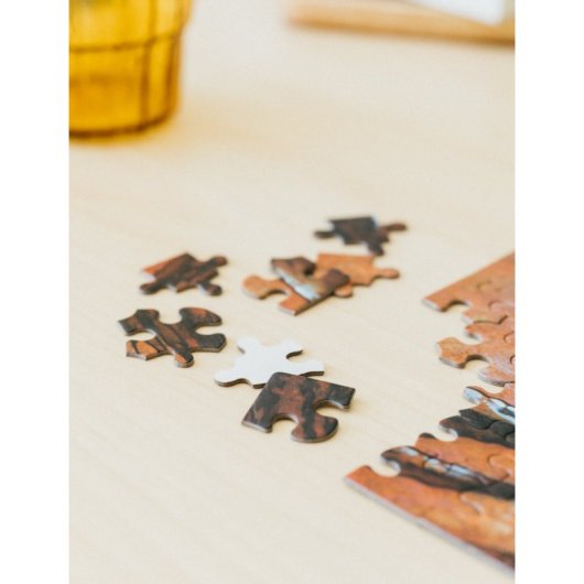 Puzzle Goonies de 500 pièces