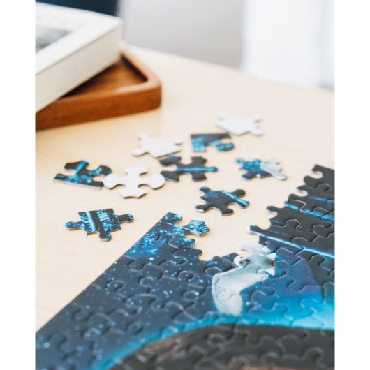 500-teiliges Puzzle Harry Potter und der Stein der Weisen