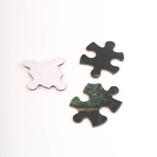 Puzzle de 500 pièces Harry Potter et la Chambre des secrets