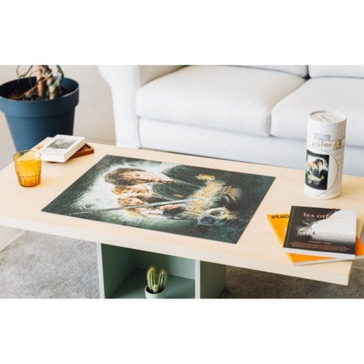 Puzzle de 500 pièces Harry Potter et la Chambre des secrets