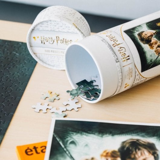 Puzzle de 500 pièces Harry Potter et la Chambre des secrets