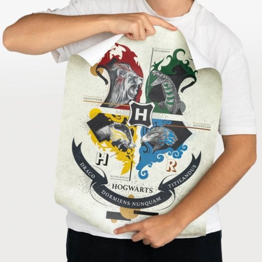 Coffret de mini-affiches Harry Potter