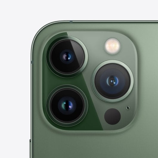 Apple iPhone 13 Pro Max 256 Go Vert Alpin Reconditionné gratuit