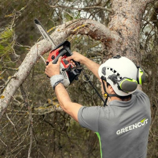 Motosierra Greencut GS250X-CARVING 25.4cc 1.4cv Espada 254mm Carving Ligera Precisión