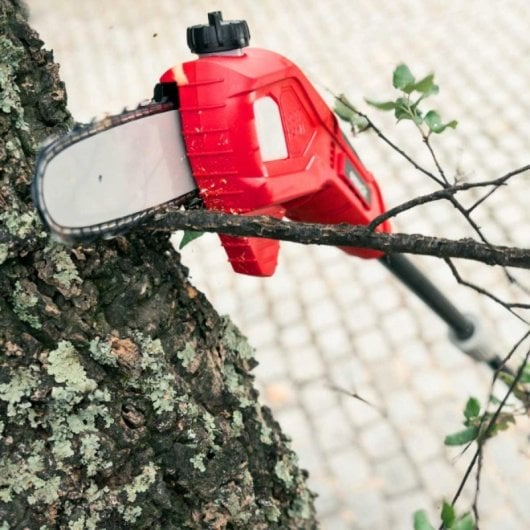 Podadora de altura telescópica Greencut PP400L batería litio 40V MAX 17cm autonomía LCD