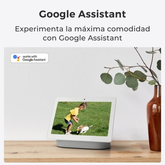 Cámara IP WiFi Reolink E321 3MP Super HD Giro 355° Inclinación 50° Visión Nocturna