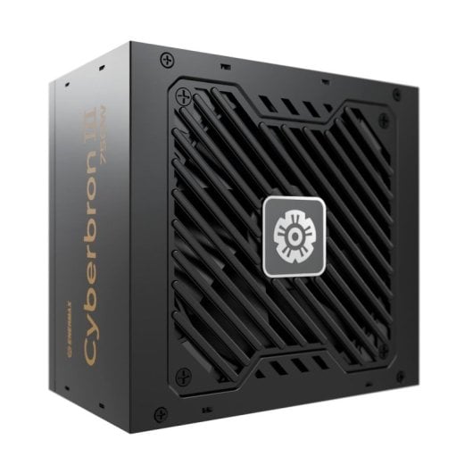Alimentation ATX Enermax CyberBron III 750W Noir