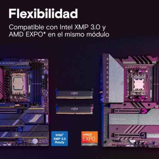 Módulo RAM Crucial Pro CP2K32G64C40U5B 64GB 2x32GB DDR5 6400MHz CL40 DIMM Disipador